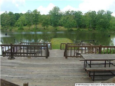 166 County Road 461, Oxford, MS 38655 - photo 7