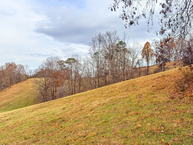 0 Sugar Hollow Rd unit Lot 3, Lafollette, TN 37766 - photo 2
