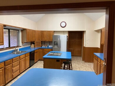 11121 Donkey Flat, Helotes, TX 78023 - photo 5