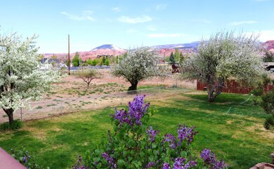 Backyard & Views