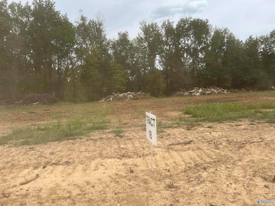 21302 Holland Rd, Athens, AL 35614 - photo 2