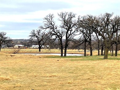 2025 Swallow Tail Ct, Poolville, TX 76487 - photo 3