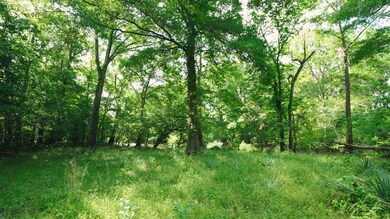 0 E River Rd unit 154466, Jacksonville, GA 31544 - photo 6