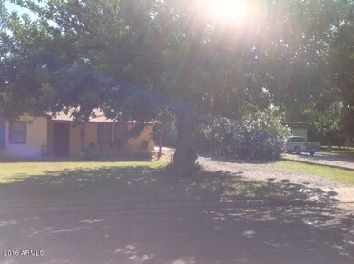 Shaded lush lot