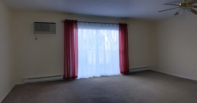 170 E Hadley Rd unit 109, Amherst, MA 01002 - photo 4