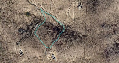 Lot 9 Moss Creek Trail, Ellijay, GA 30536 - photo 5