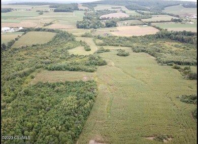 1042 Irish Valley Rd, Paxinos, PA 17860 - photo 6