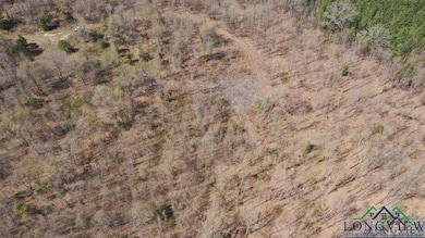Aerial view of property's location