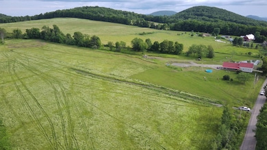 1407 Whittier Hill Rd, Cabot, VT 05647 - photo 4