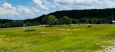 99 Meadowstone Way unit Tracts 12-17, Corbin, KY 40701 - photo 3