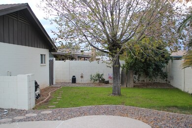 Private backyard
