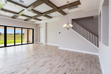 5959 Hidden Branch Dr, Apollo Beach, FL 33572 - photo 7