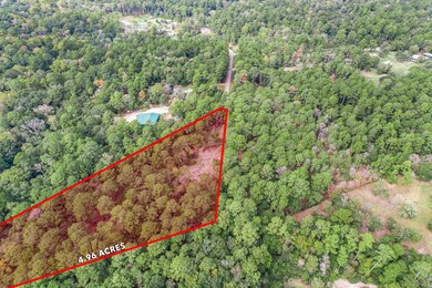 21701 Dan Dr, Magnolia, TX 77355 - photo 5