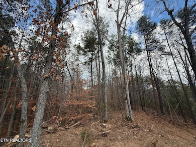 Lot 3 Parksville Rd, Benton, TN 37307 - photo 2