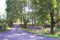 LARGE  YARD