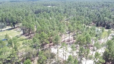 0 SW 69th Place unit MFROM700253, Ocala, FL 34481 - photo 5