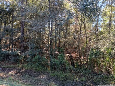 00 County Road 065, Jasper, TX 75951 - photo 4