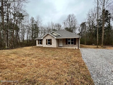 10575 Possum Fork Rd, Picayune, MS 39466 - photo 2