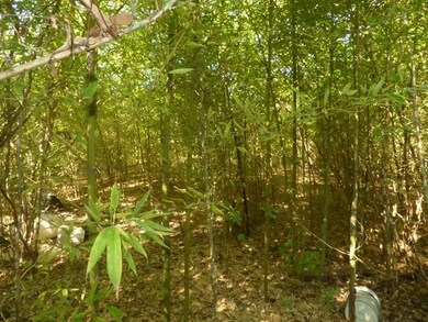 4004 Us Highway 98, McComb, MS 39648 - photo 6