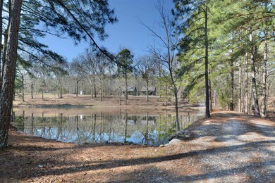 374 Cedar Glades Rd, Hot Springs, AR 71913 - photo 4