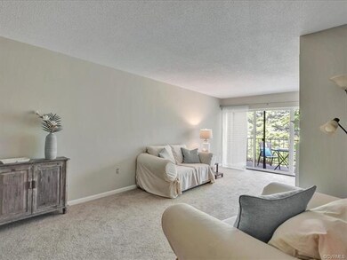 1503 Thistle Rd unit 301, Henrico, VA 23238 - photo 5