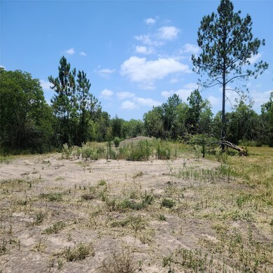 0 Whigham Way unit 98704315, Alvin, TX 77511 - photo 3