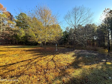 277 Riverhills Trail, Rockingham, NC 28379 - photo 7