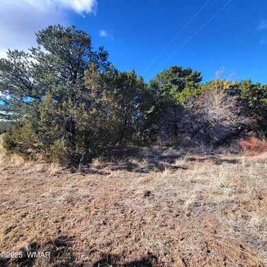 0 S Spanish unit 258796, Eagar, AZ 85925 - photo 4