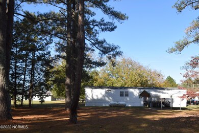 Back View