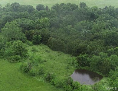 16292 Maries Road 303, Vienna, MO 65582 - photo 5