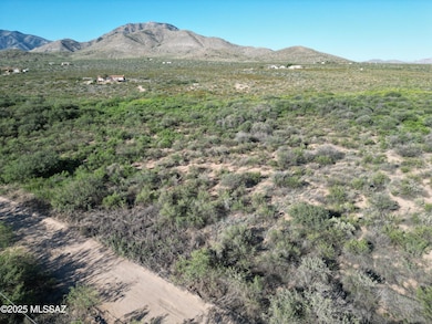 RichardsonAerialView6