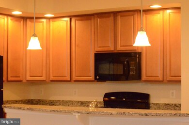 24598 Johnson Oak Terrace, Sterling, VA 20166 - photo 6