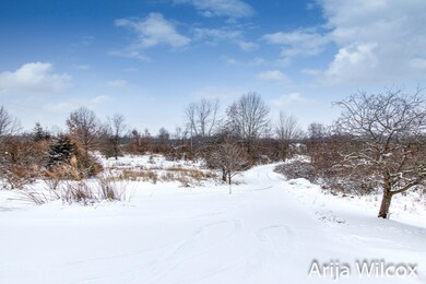 005-IMG_7437ENF-Edit