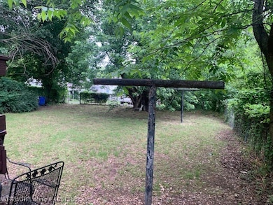 back yard