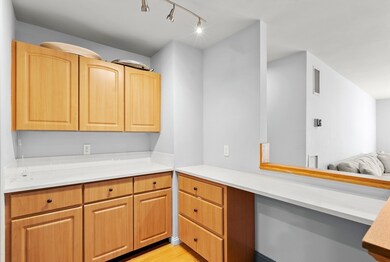 Crossroads on the Charles unit 302, Watertown, MA 02472 - photo 4