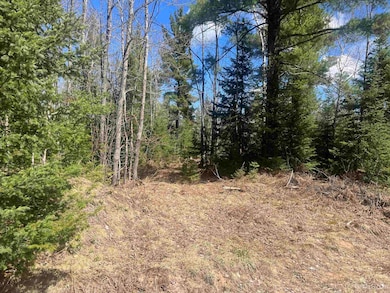480 Acres Off Cr Aaa Rd, Michigamme, MI 49861 - photo 5