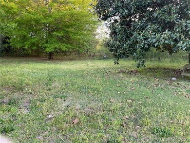 1504 McBryde Mill Rd, Red Springs, NC 28377 - photo 4