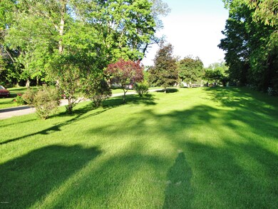 IMG_6695