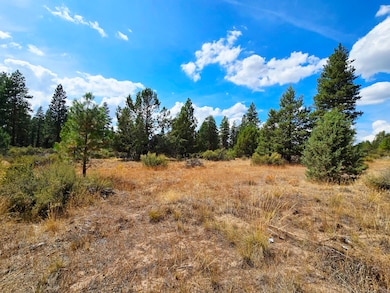 0 Swan Dr unit 16 & 17 220209213, Bonanza, OR 97623 - photo 3