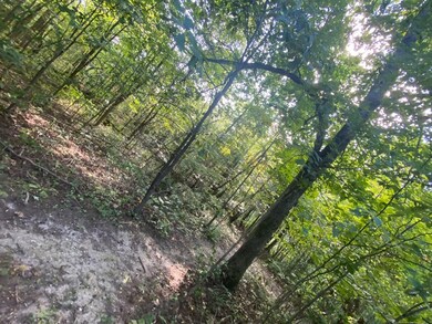 0 Bilbrey Qualls Rd, Cookeville, TN 38506 - photo 3