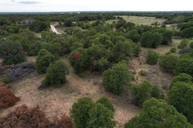 Tbd Pr 368, Hawley, TX 79525 - photo 3