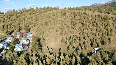 0 Patterson Dr, Canyon City, OR 97820 - photo 2