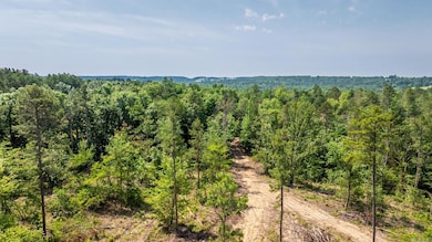 Tract 6 Harmony Mountain Rd, Clinton, AR 72031 - photo 2