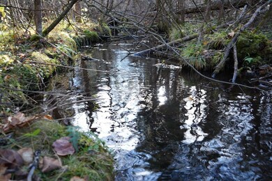 0 Roberts Lake Rd unit 25758611, Laona, WI 54541 - photo 2