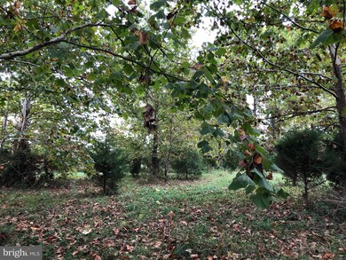 0 Lindbergh unit WVJF2000027, Summit Point, WV 25446 - photo 5