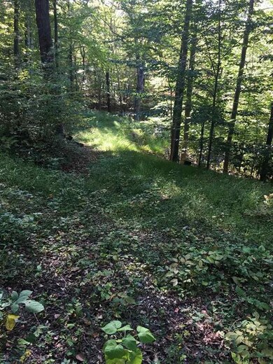 221 Tow Path Rd, Accord, NY 12404 - photo 6