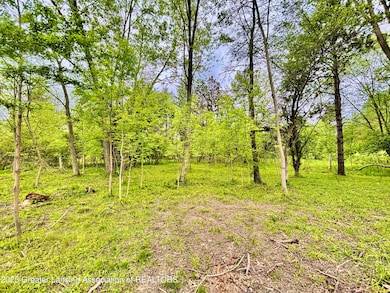 0 Lot B Willow, Lansing, MI 48917 - photo 3