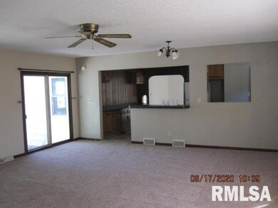 2029 3rd St, Moline, IL 61265 - photo 4