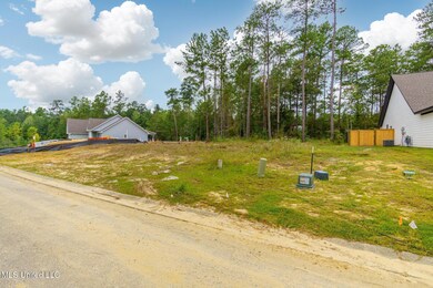 Lot 76 S Founders Way, Hattiesburg, MS 39401 - photo 7