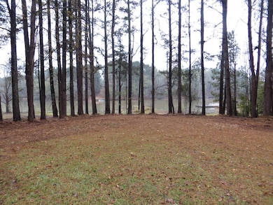 0 Sugar Creek Trail unit 69869, Buckhead, GA 30625 - photo 2